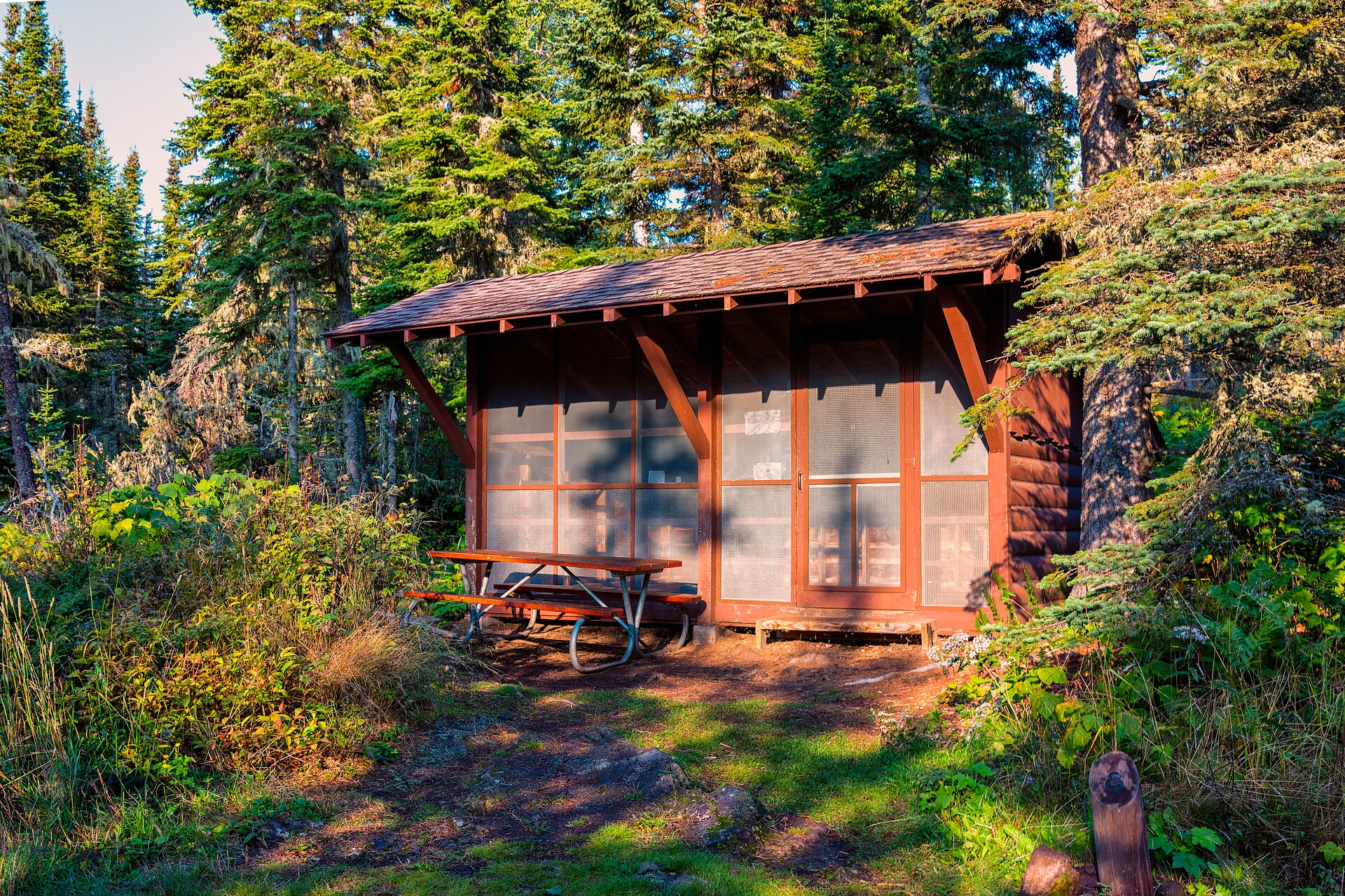 A small screened three-sided log shelter with a shingled roof and a picnic table, set in dense spruce and birch forest in low evening light