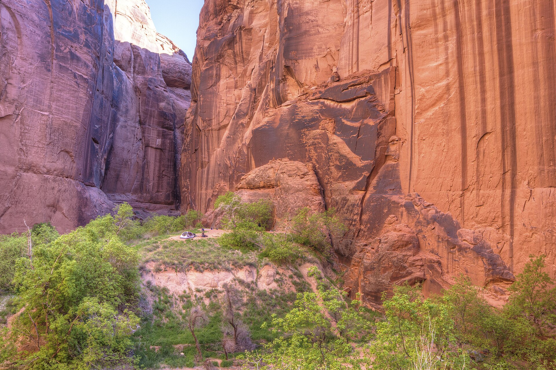 A single small tent pitched on a grassy bench high above a canyon floor, dwarfed by sheer red and orange sandstone walls hundreds of feet tall